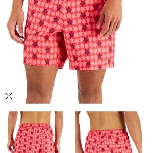 Macy's Bathing suit, Medium, Turtles